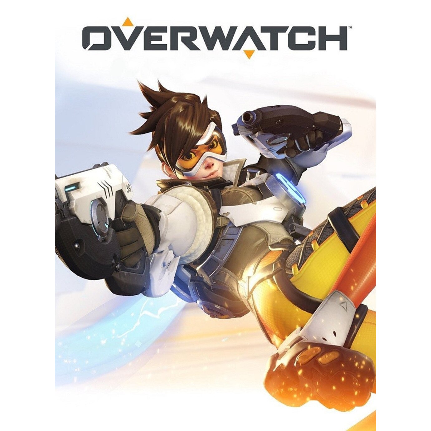 Altex overwatch game of the year edition pc