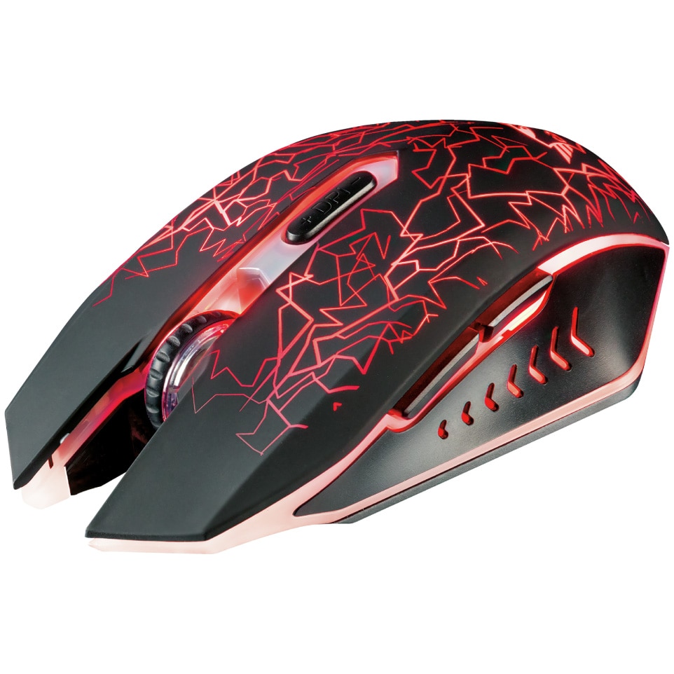 Altex trust gxt 786 reyno