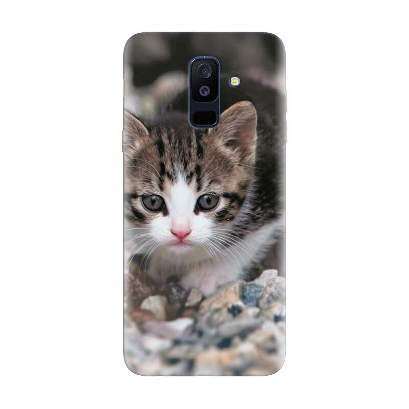 cat costa un a6 2018