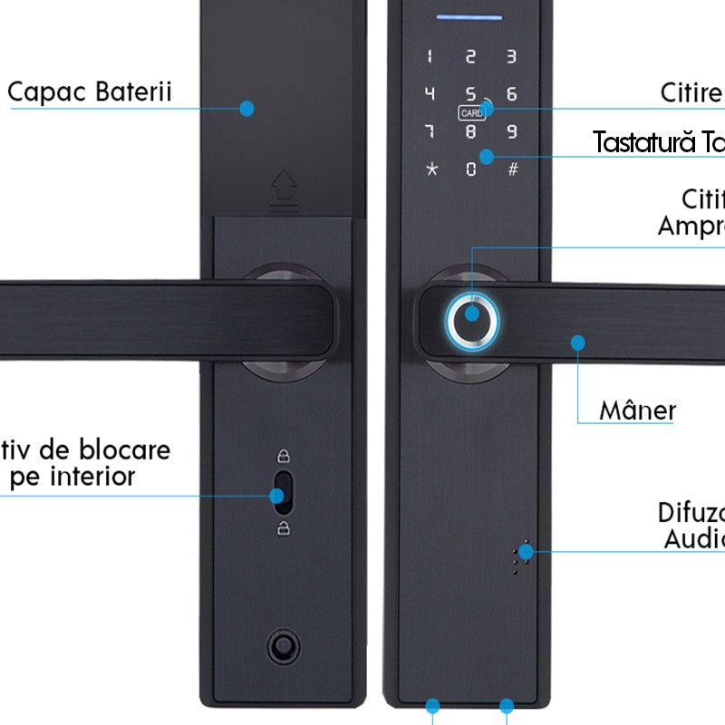 Apartamente de inchiriat langa carrefour dr tr sev – Cumpărați online