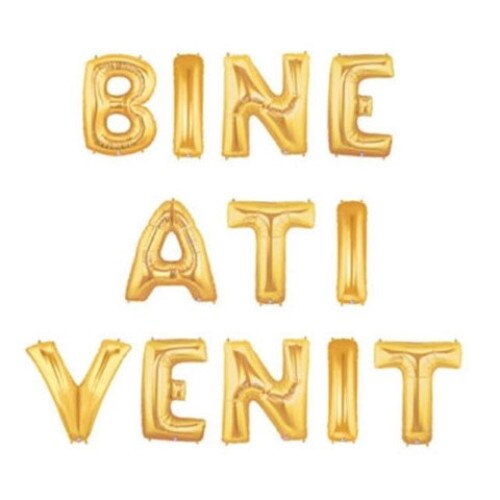 bine ati venit market 1 decembrie