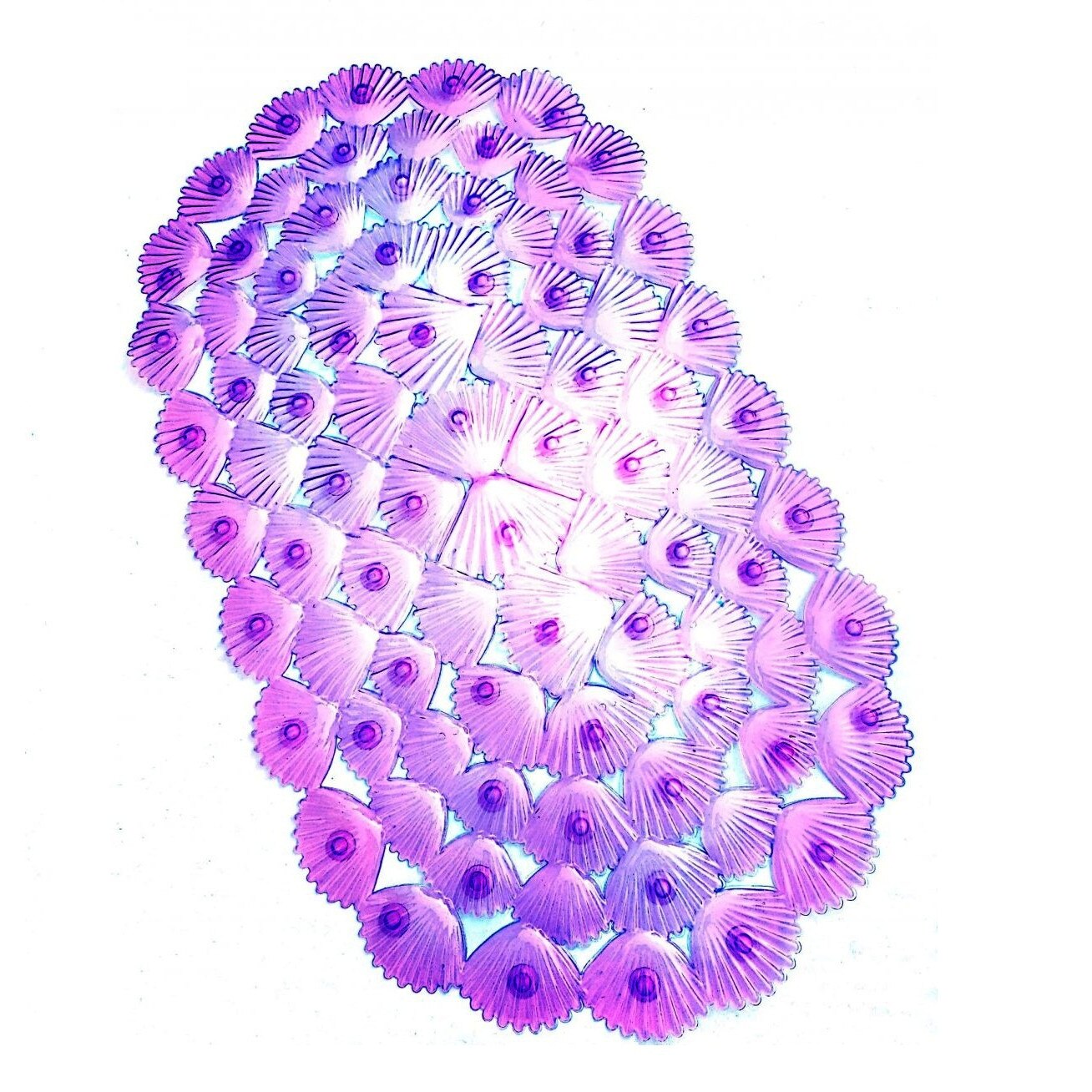 Carrefour piscina in forma de scoica din plastic – Cumpărați online