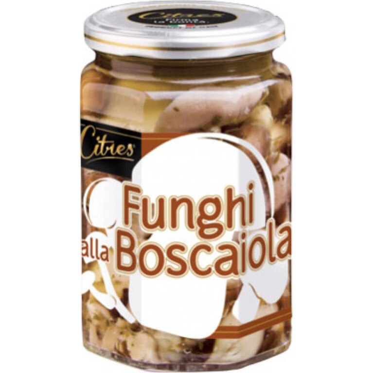 ciuperci padure la borcan