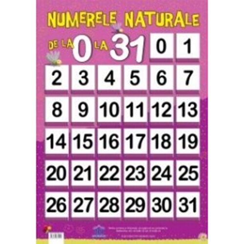 planul de activitate firma