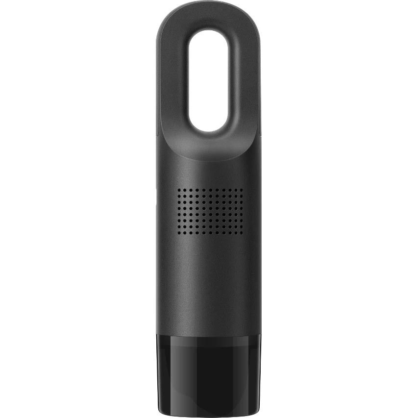 aspirator dedeman de curte pe benzin