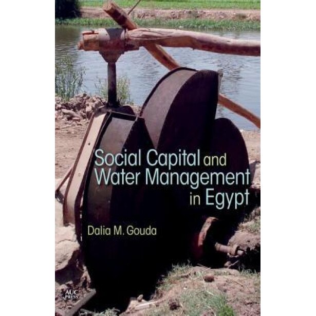 Cat capital social detyinde dedeman