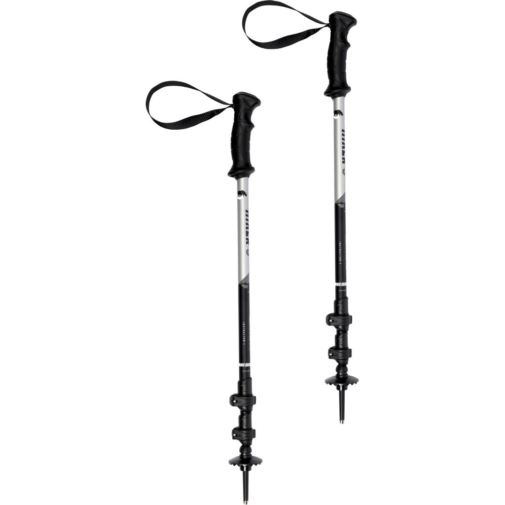 dedeman bat telescopic pt zugravit