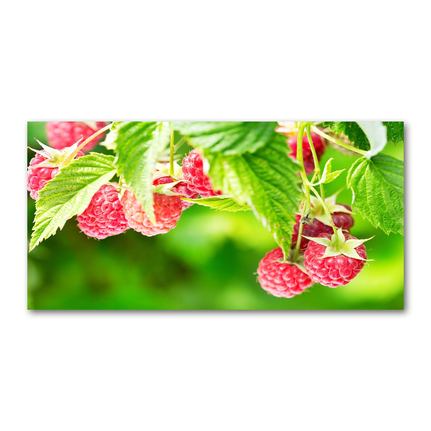  produse din lemn gradina – Cea mai bună selecție online
