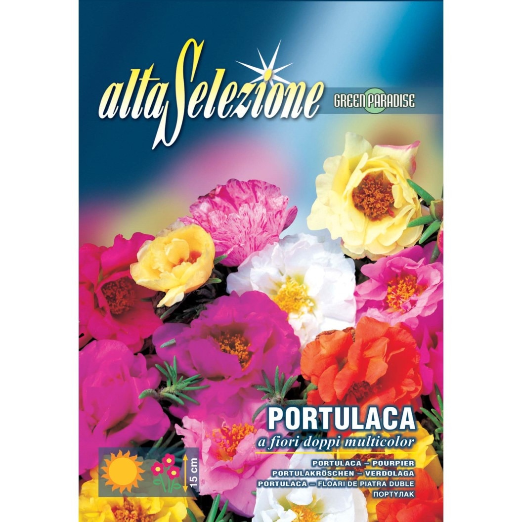 flori de piatra seminte dedeman