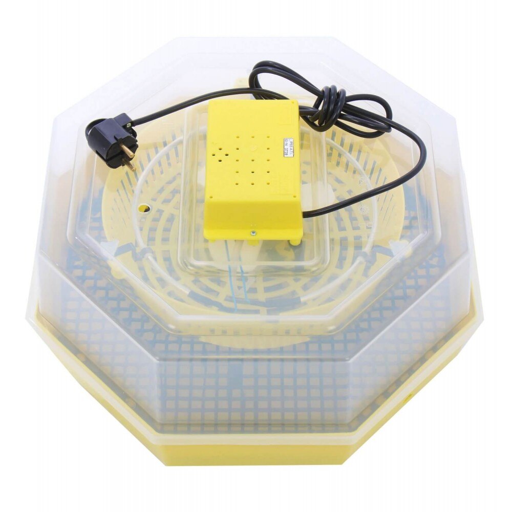incubator electri cleo 5 dedeman
