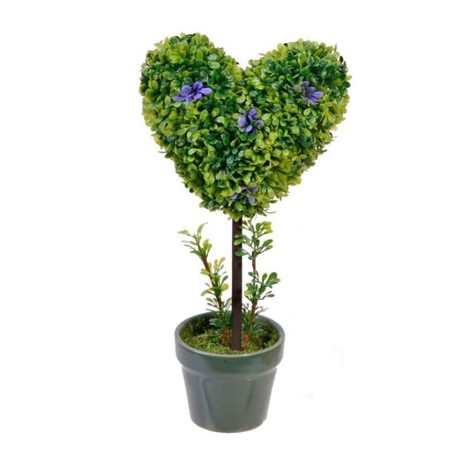 Plante ornamentale de interior dedeman
