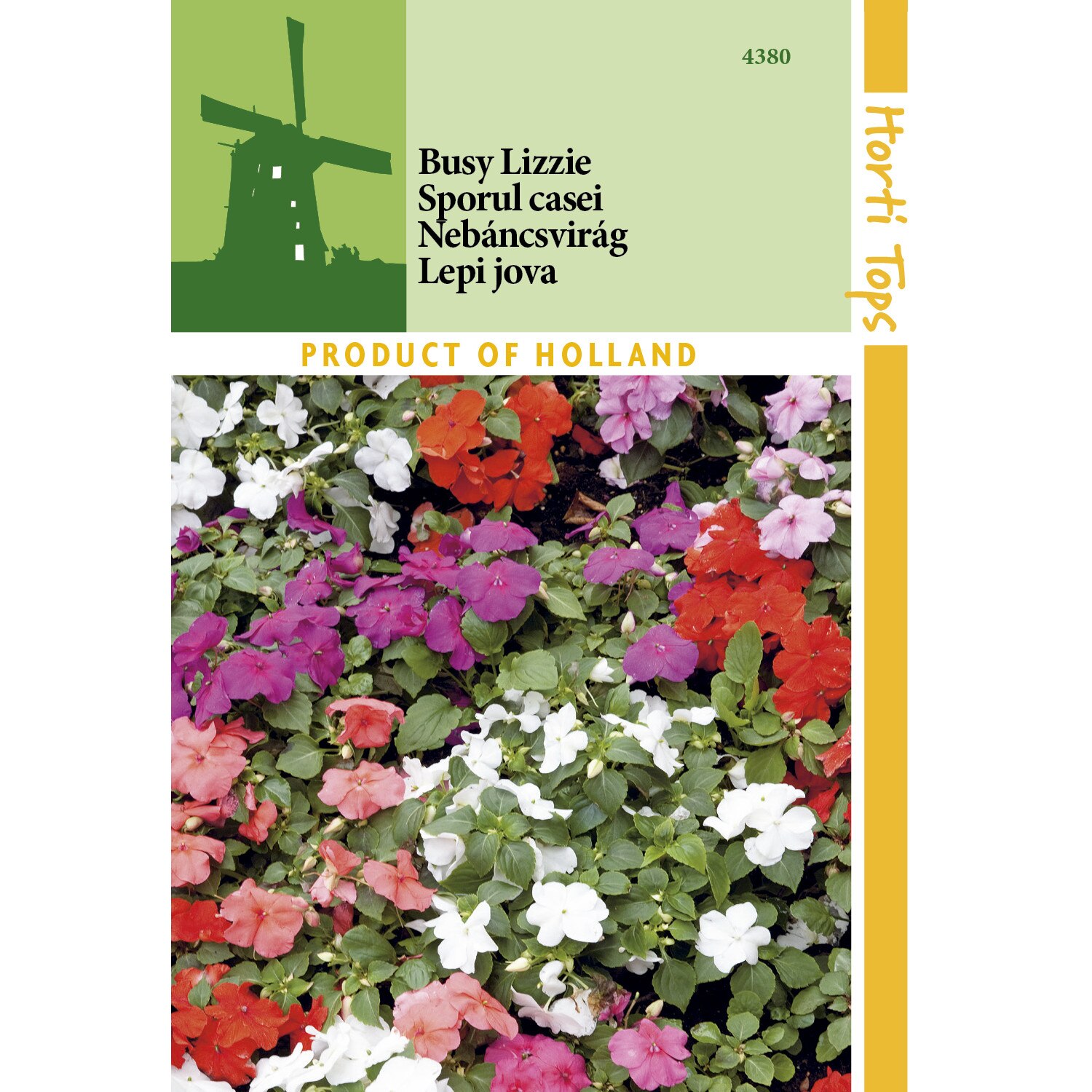 sporul casei sau impatiens dedeman
