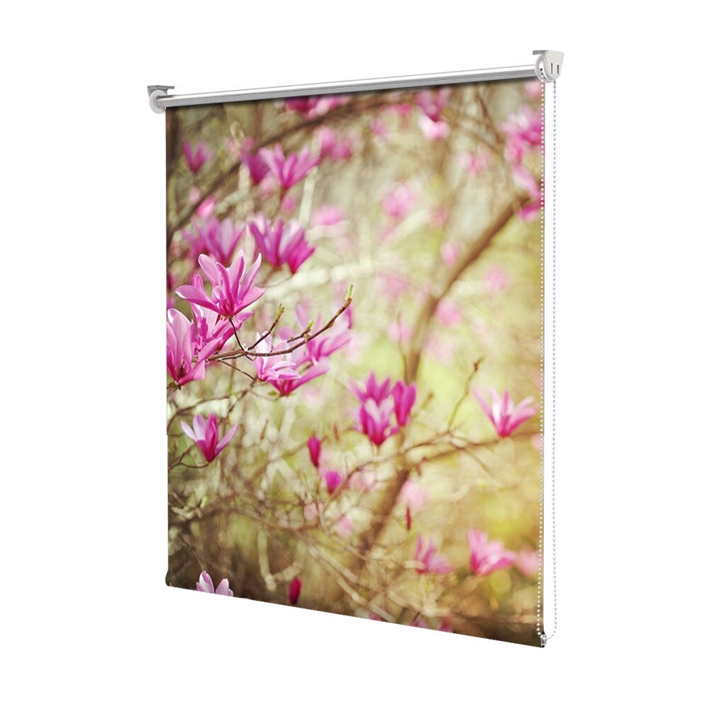 Tipuri de magnolia la dedeman