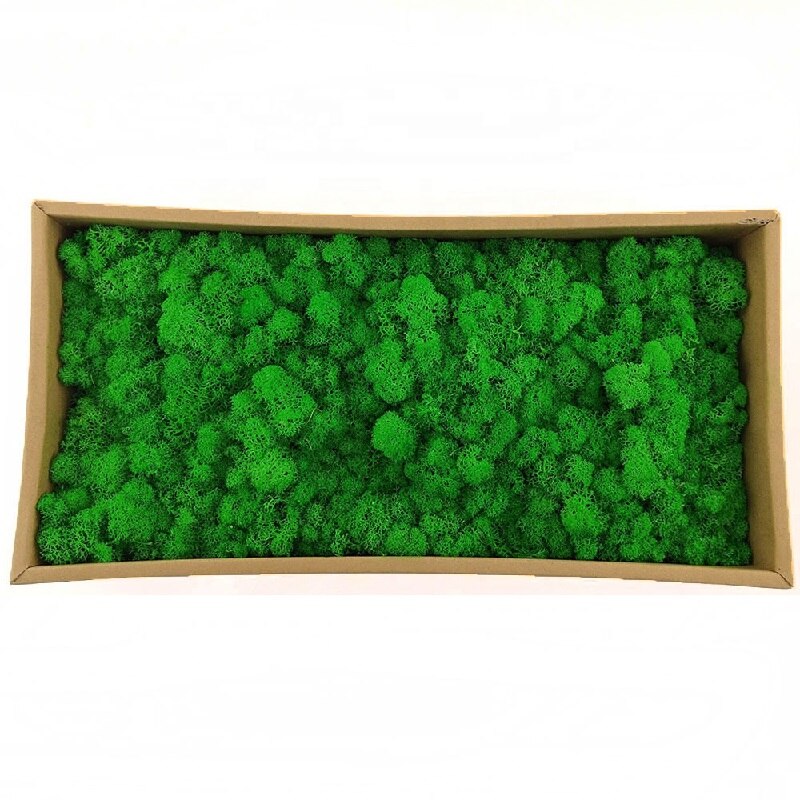Artificial plants grass design – Cumpărați online