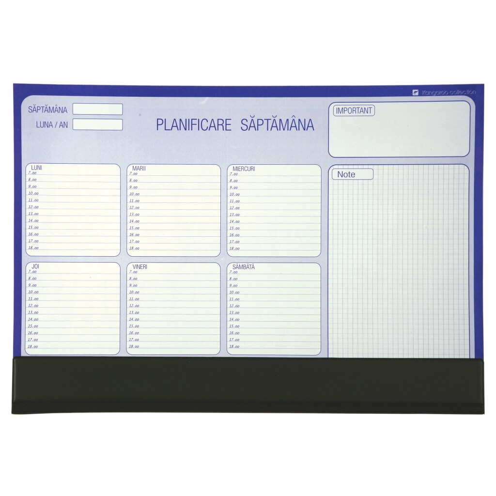 Sistemul de planificare billy – Cumparaturi online