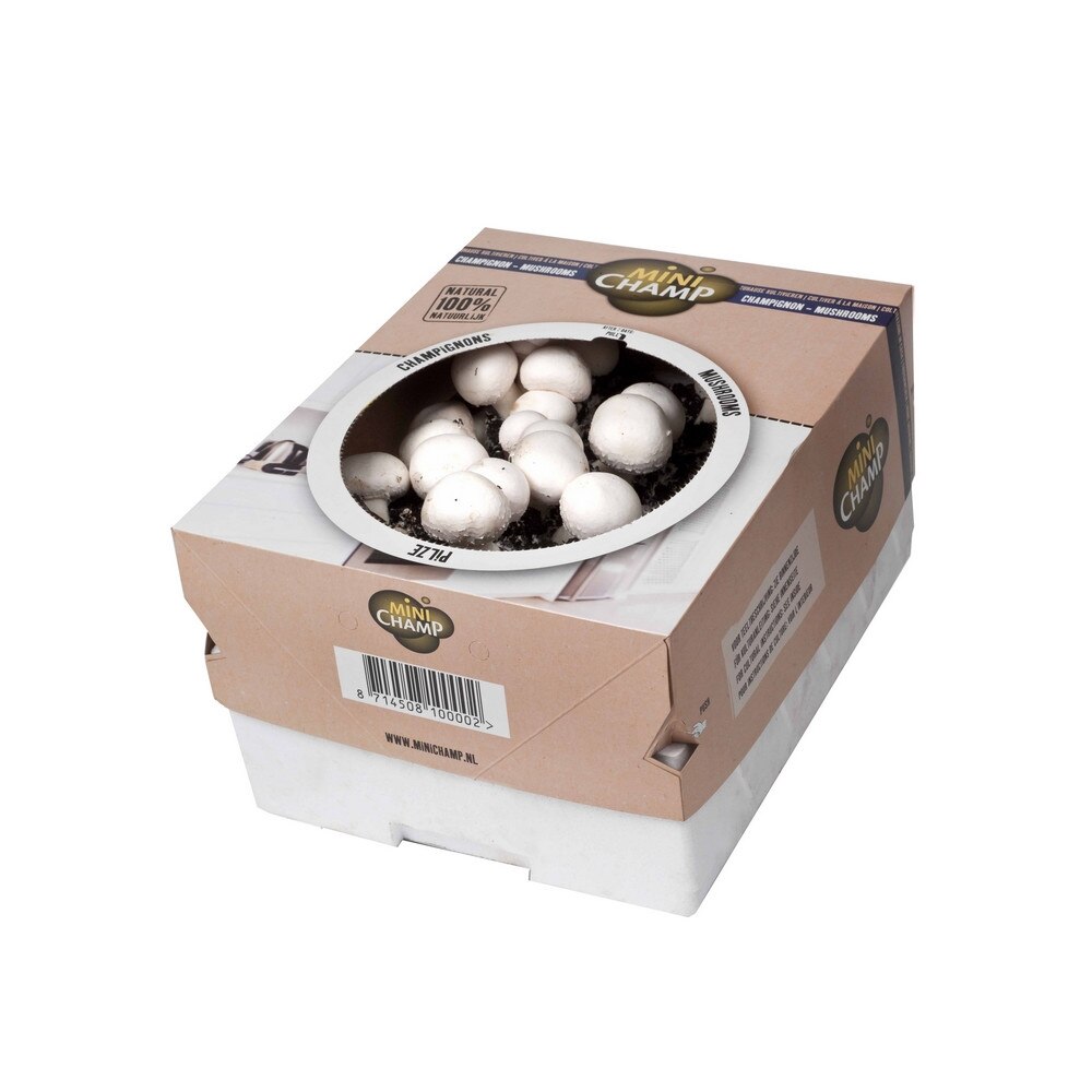 kaufland 20 decembrie 2019 oferta de weekend