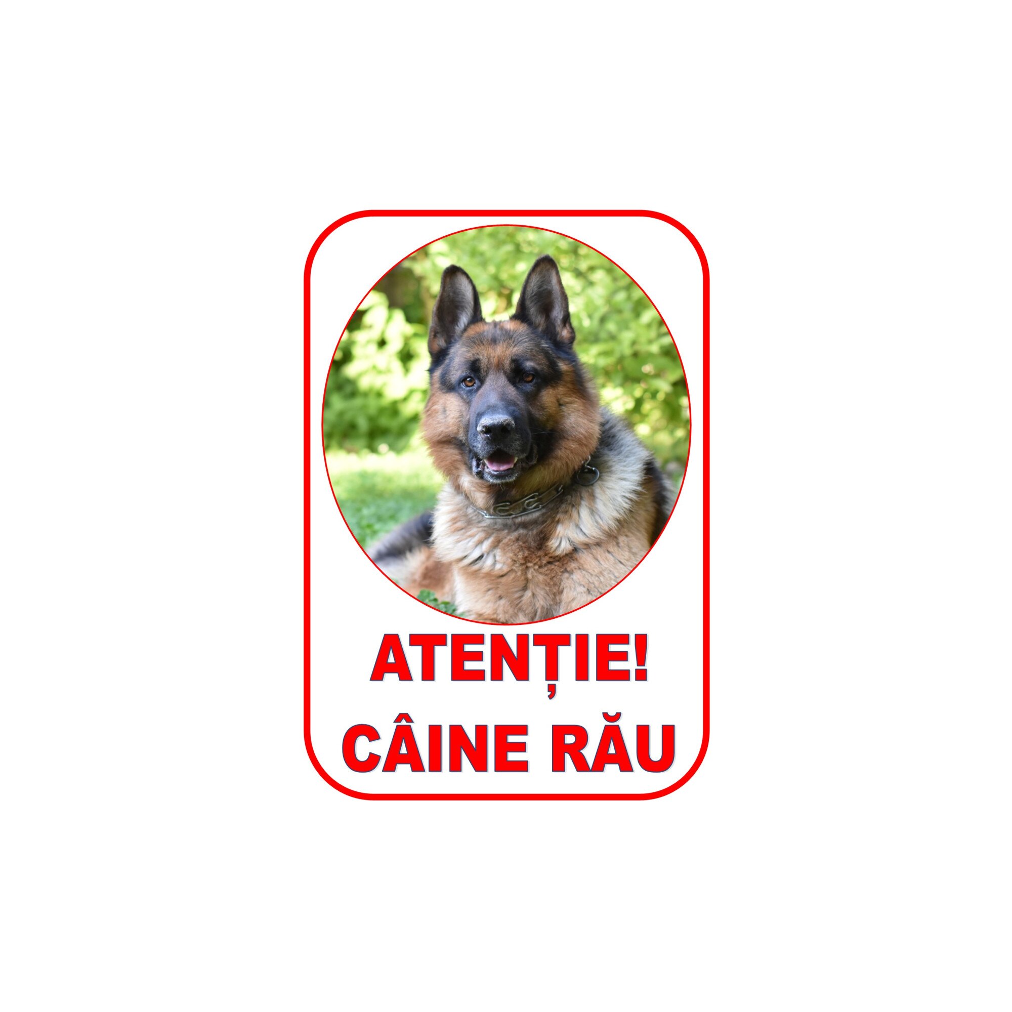 atentie caine rau leroy merlin