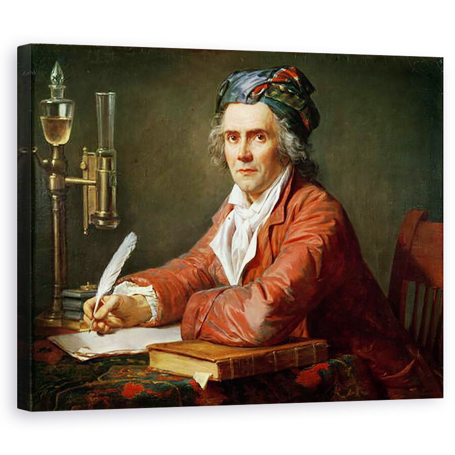canvas zebara la leroy merlin