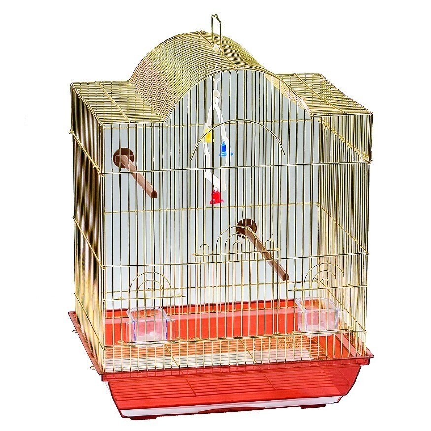 Custi pt golden retrevier leroy merlin – Cumparaturi online