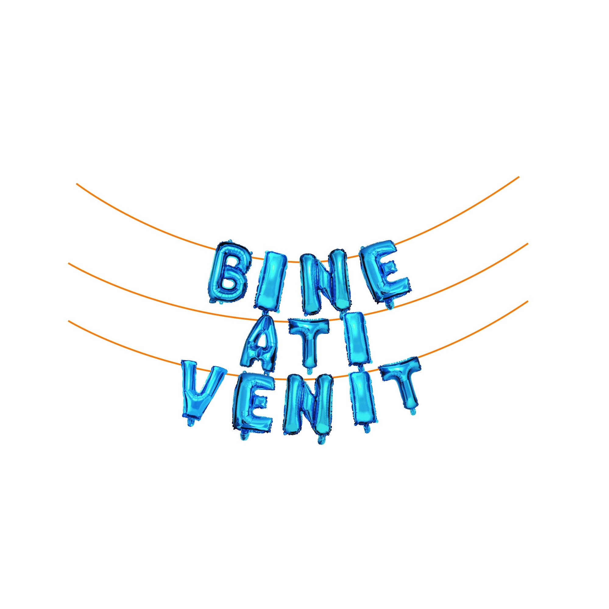 bine ati venit la