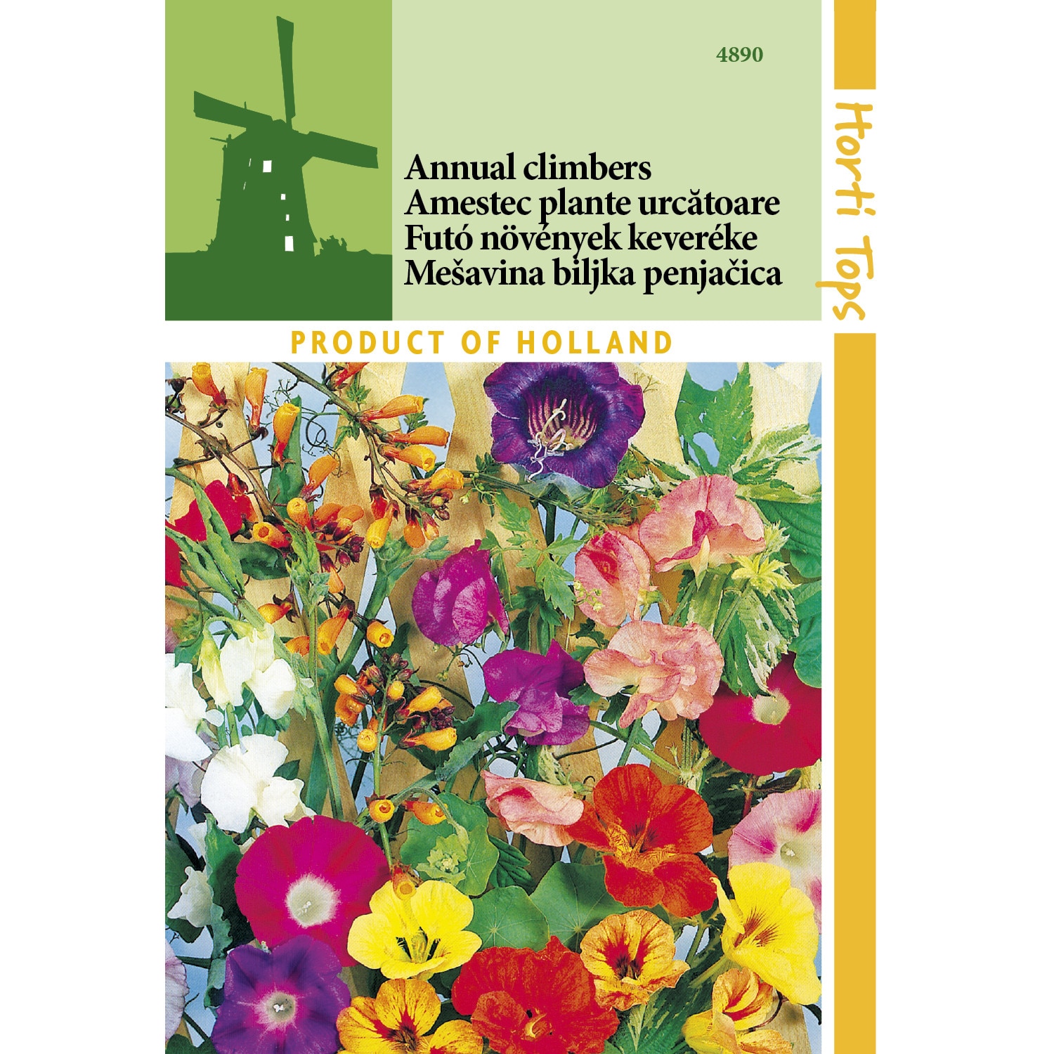 catalog  27 mai 2 iunie