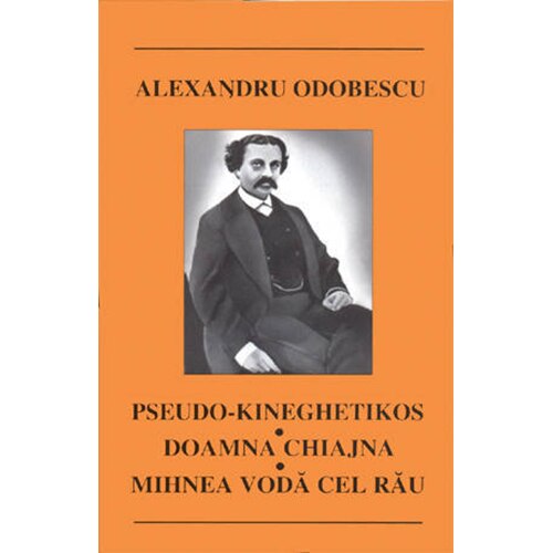 Chiajna centru de logistica