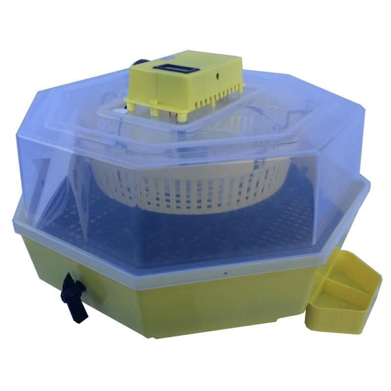 Criza oualor cu insecticid – Cumpărați online