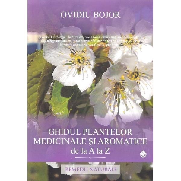 Ghidul plantarea unei plante – Cumpărați online