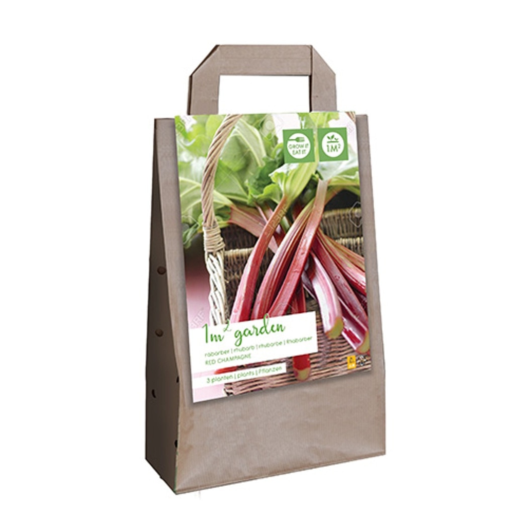 Butasi de fructe de padure – Cumparaturi online