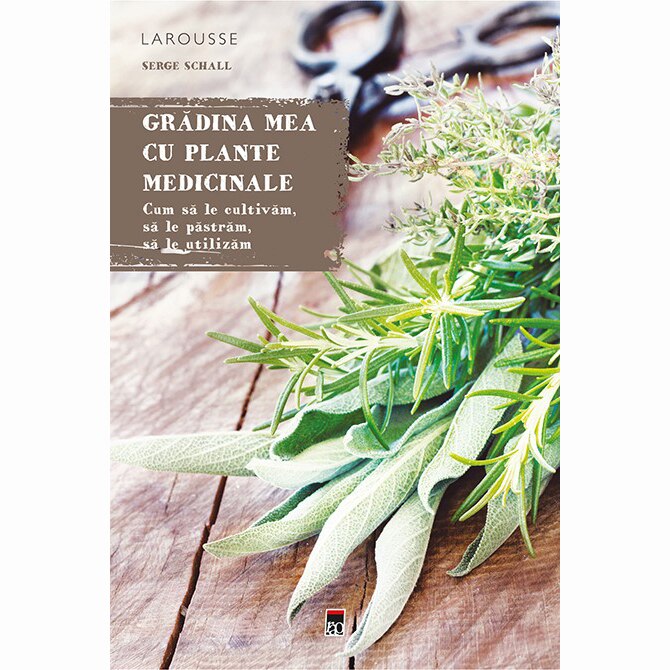 Mica mea gradina plante – Cumparaturi online