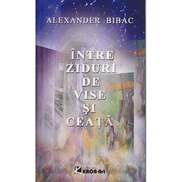 sector 2 ziduri intre vii