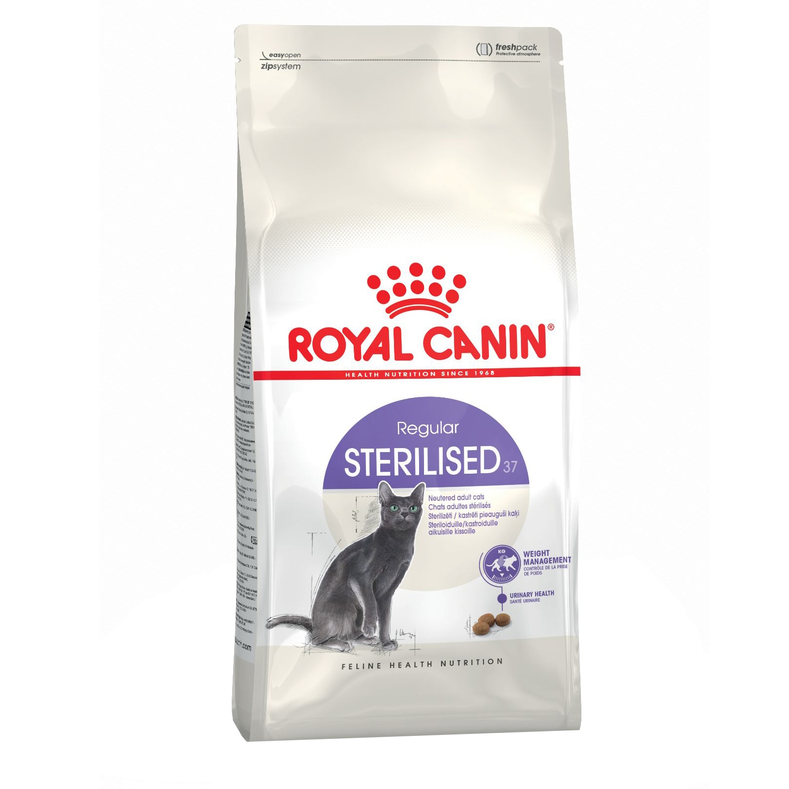 mancare pisici 10 kg
