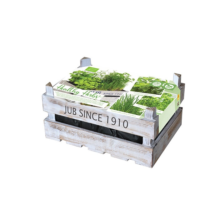 Mix plante  noiembrie 2016 minigarden