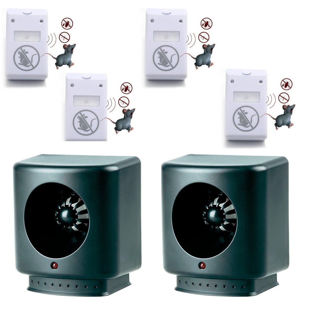 Oferte de joi 4 iulie