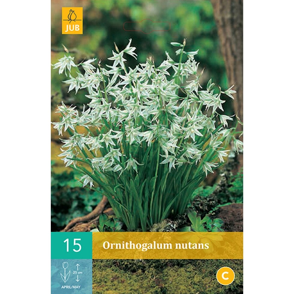 Oferte  luni 25 noiembrie