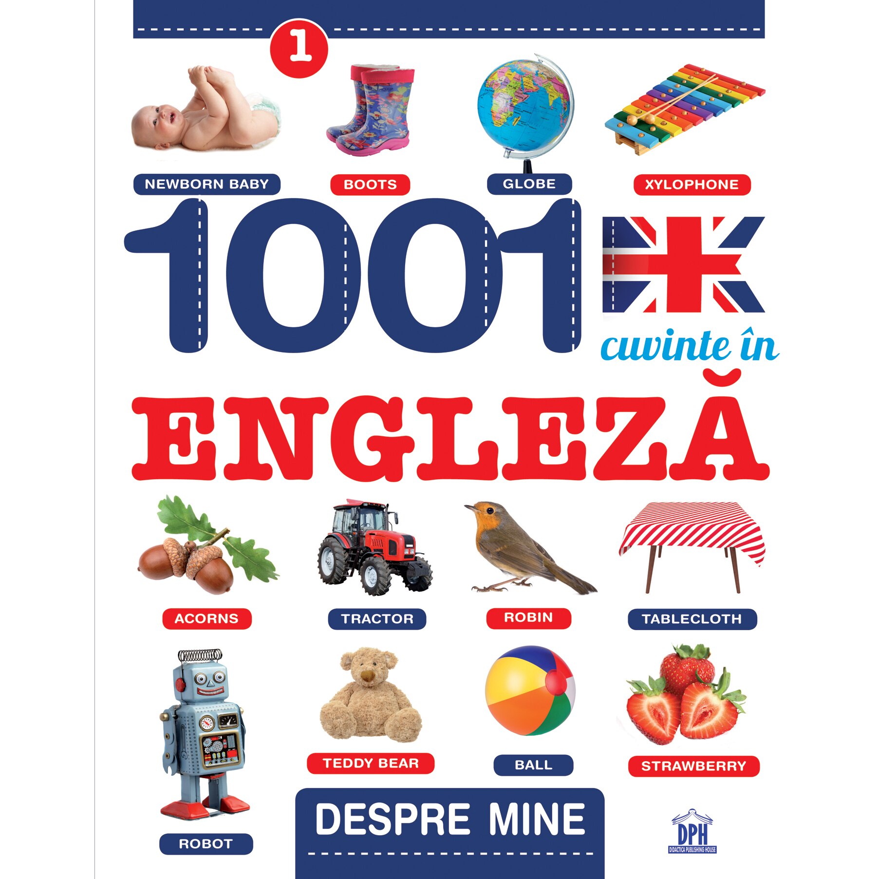 proiect despre  in engleza
