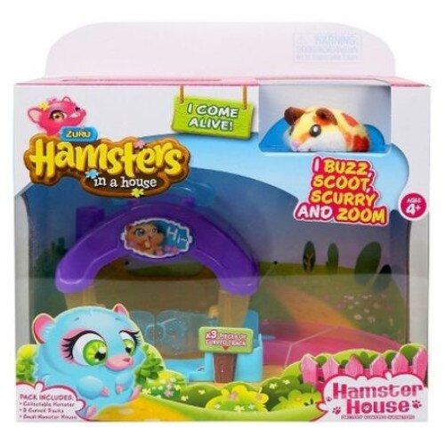 Hamsters in the house noriel