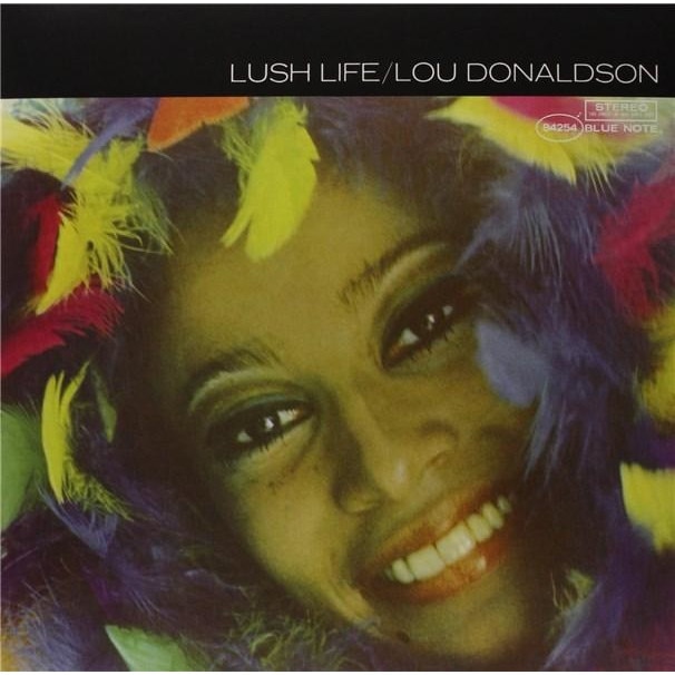 Donlowd lush life zara larson whith video – Cumparaturi online